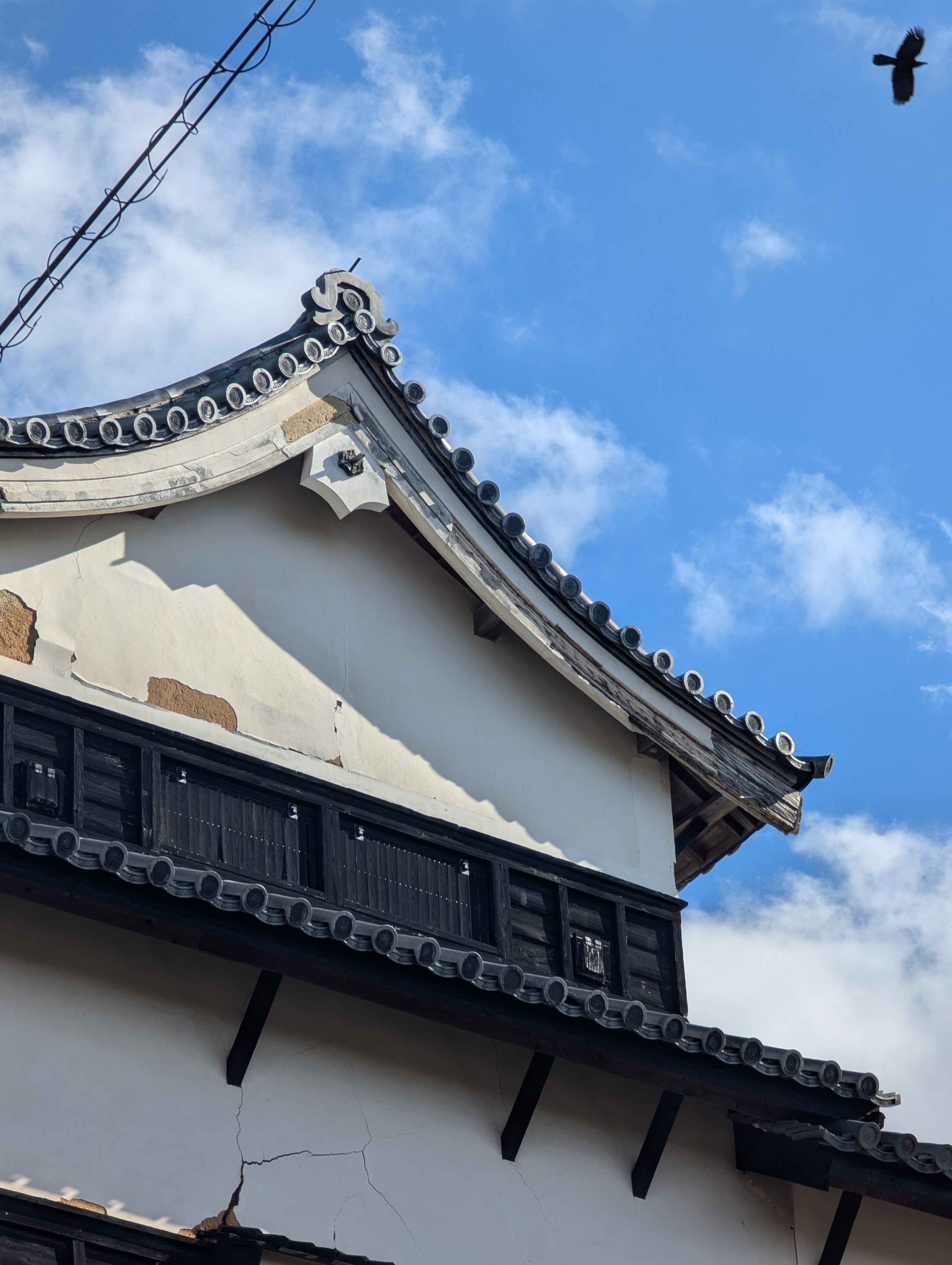 Fukuoka Castle with a crow!