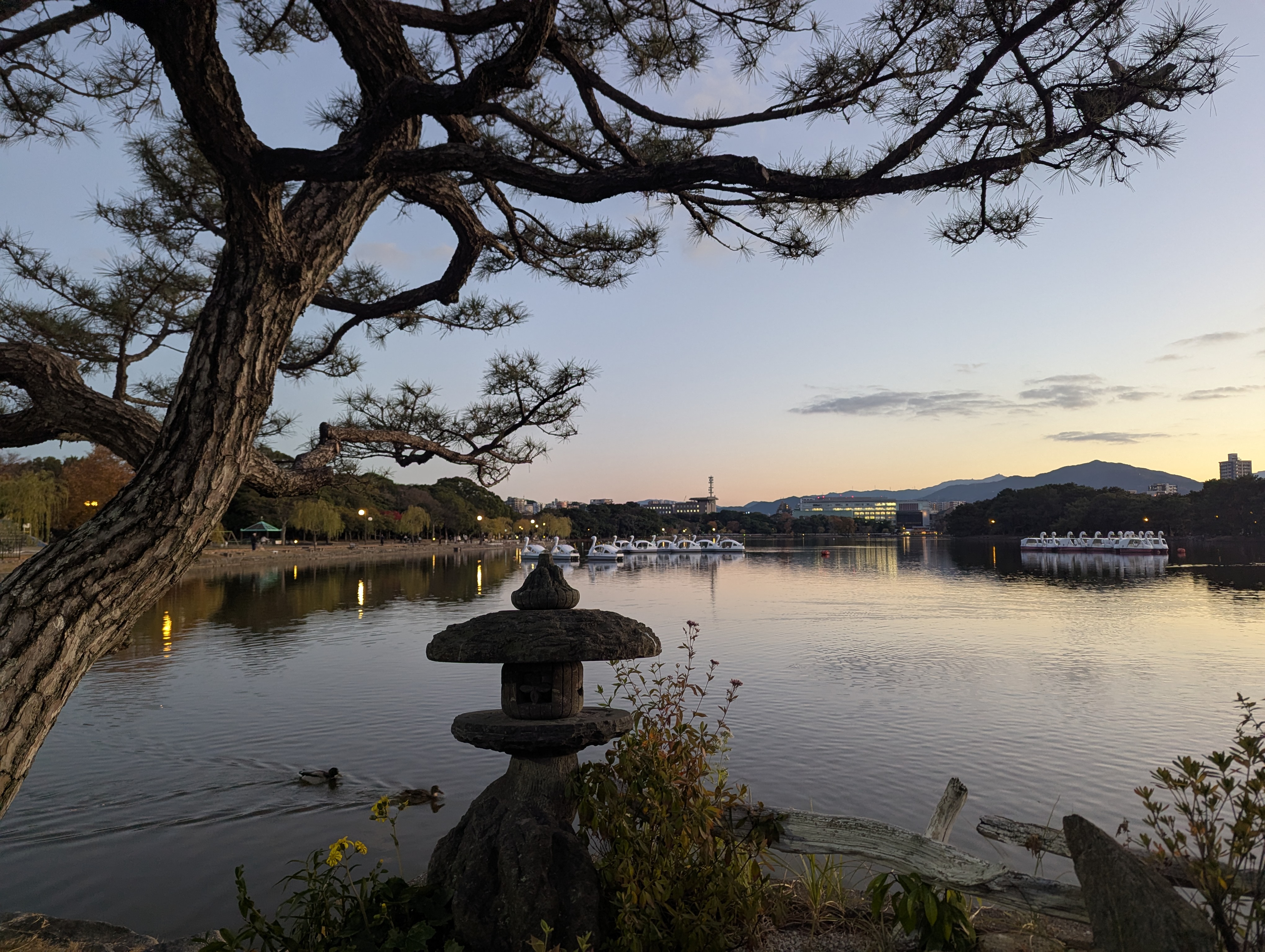 A very aesthetic photo