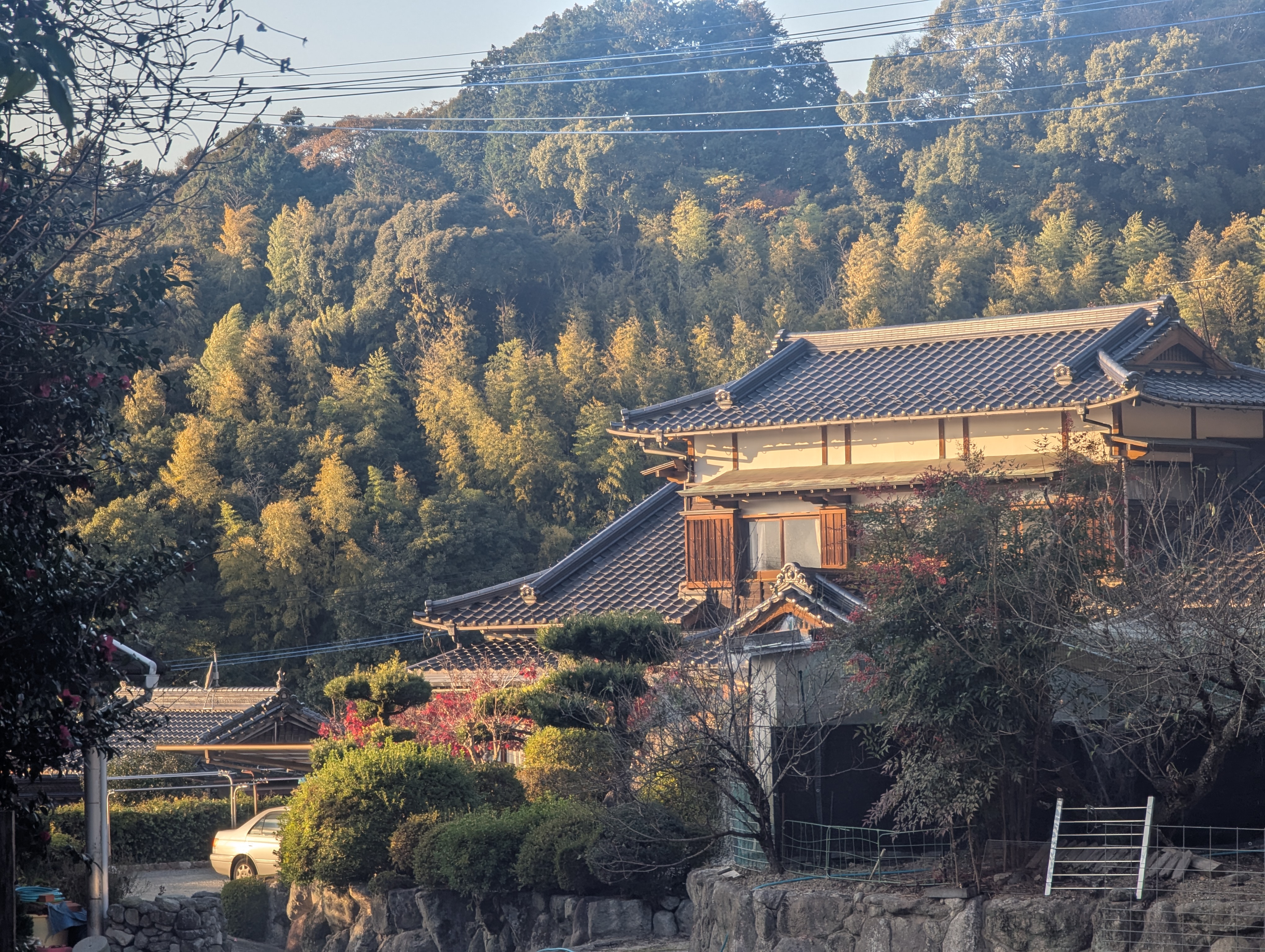A house near the shrine